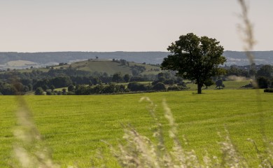 img-4