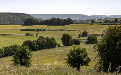 img-2