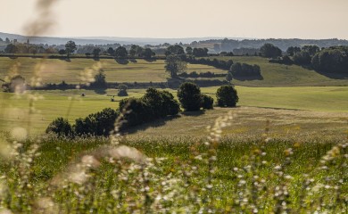 img-3